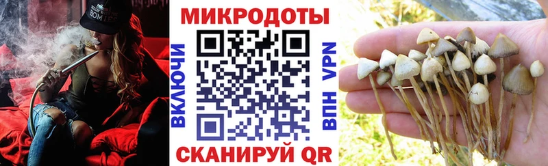 Галлюциногенные грибы мицелий  Купить  Нефтеюганск 